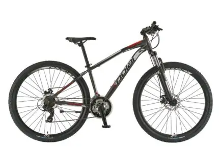 Polar Wizzard 1.0 Red 29"